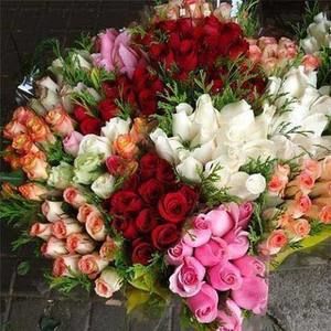 Meet your Posher, Faisal